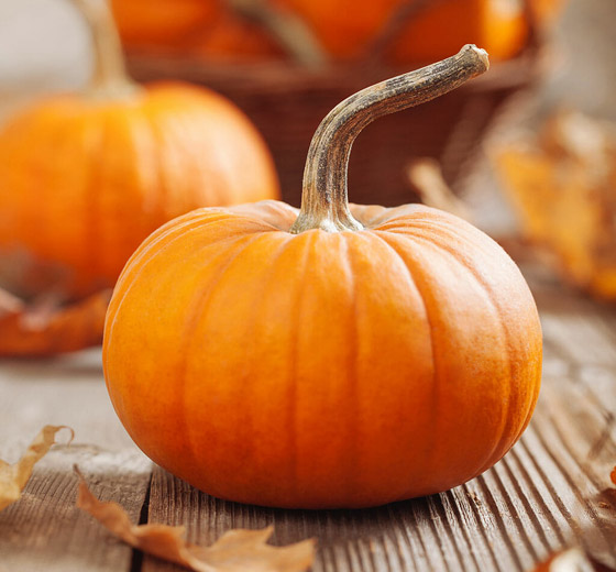 7 فوائد صحية للقرع العسلي (اليقطين) تعيده بقوة لمائدة الطعام صورة رقم 7 7 فوائد صحية للقرع العسلي (اليقطين) تعيده بقوة لمائدة الطعام صورة رقم 7