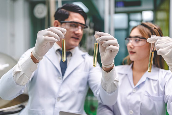 تعرّف على زيت السمسم: ملك الزيوت النباتية صورة رقم 7