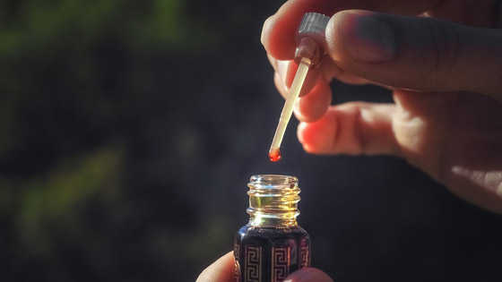 العود.. هذه أفضل الأنواع وأكثرها شهرةً صورة رقم 1