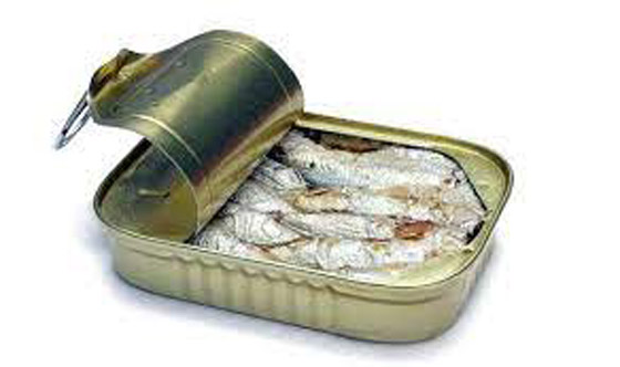 حمية السردين إنقاص للوزن ومحاربة للمرض صورة رقم 5