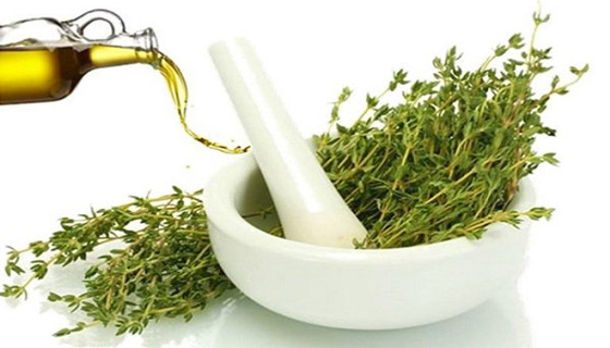 الزعتر وزيت الزيتون.. نكهة ورائحة وتخسيس صورة رقم 2
