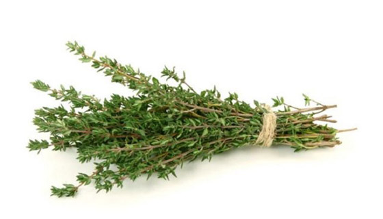 الزعتر وزيت الزيتون.. نكهة ورائحة وتخسيس صورة رقم 4