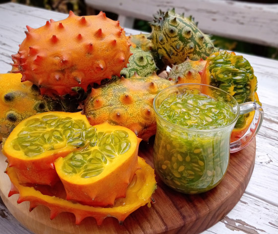 مقاوِمة للعطش وتقي من السرطان.. فوائد فاكهة الكيوانو الغذائية والصحية صورة رقم 1 مقاوِمة للعطش وتقي من السرطان.. فوائد فاكهة الكيوانو الغذائية والصحية صورة رقم 1