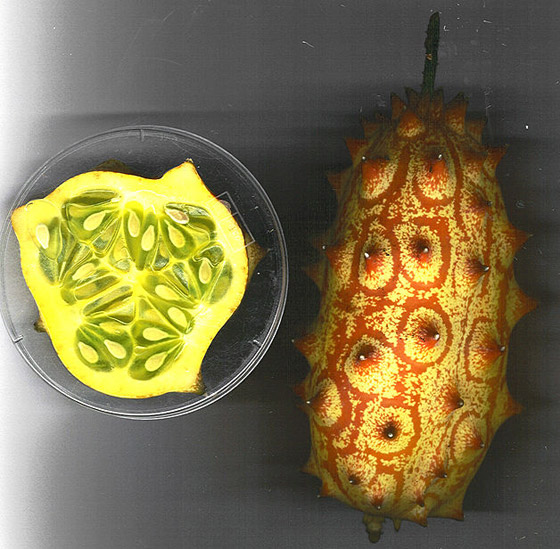 مقاوِمة للعطش وتقي من السرطان.. فوائد فاكهة الكيوانو الغذائية والصحية صورة رقم 8 مقاوِمة للعطش وتقي من السرطان.. فوائد فاكهة الكيوانو الغذائية والصحية صورة رقم 8