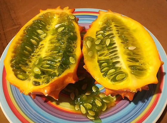 مقاوِمة للعطش وتقي من السرطان.. فوائد فاكهة الكيوانو الغذائية والصحية صورة رقم 9 مقاوِمة للعطش وتقي من السرطان.. فوائد فاكهة الكيوانو الغذائية والصحية صورة رقم 9