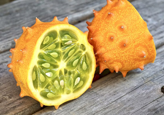 مقاوِمة للعطش وتقي من السرطان.. فوائد فاكهة الكيوانو الغذائية والصحية صورة رقم 4 مقاوِمة للعطش وتقي من السرطان.. فوائد فاكهة الكيوانو الغذائية والصحية صورة رقم 4