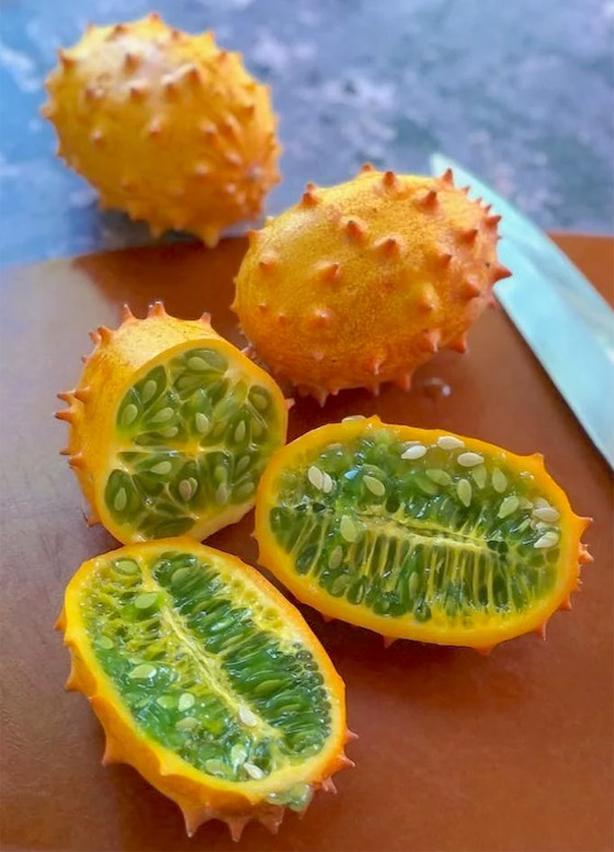 مقاوِمة للعطش وتقي من السرطان.. فوائد فاكهة الكيوانو الغذائية والصحية صورة رقم 5 مقاوِمة للعطش وتقي من السرطان.. فوائد فاكهة الكيوانو الغذائية والصحية صورة رقم 5