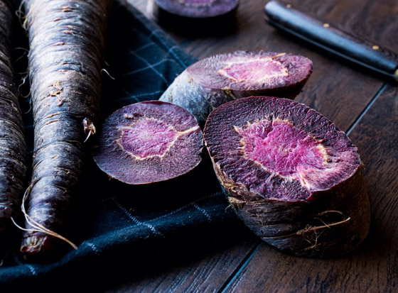 يساعد على التنحيف ويقلل الإصابة بألزهايمر.. فوائد تناول الجزر الأسود صورة رقم 6 يساعد على التنحيف ويقلل الإصابة بألزهايمر.. فوائد تناول الجزر الأسود صورة رقم 6