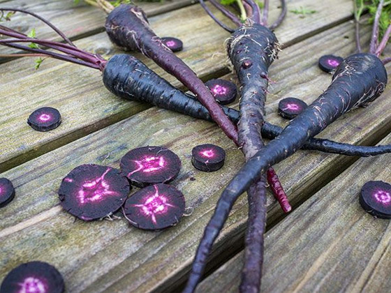 يساعد على التنحيف ويقلل الإصابة بألزهايمر.. فوائد تناول الجزر الأسود صورة رقم 8 يساعد على التنحيف ويقلل الإصابة بألزهايمر.. فوائد تناول الجزر الأسود صورة رقم 8