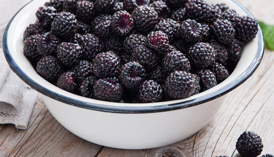 لكلى صحية.. تناول هذه الأطعمة الـ13 المفيدة صورة رقم 4