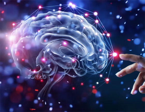 علماء الشيخوخة يكشفون: 6 عادات سيئة تدمر الدماغ صورة رقم 2 علماء الشيخوخة يكشفون: 6 عادات سيئة تدمر الدماغ صورة رقم 2