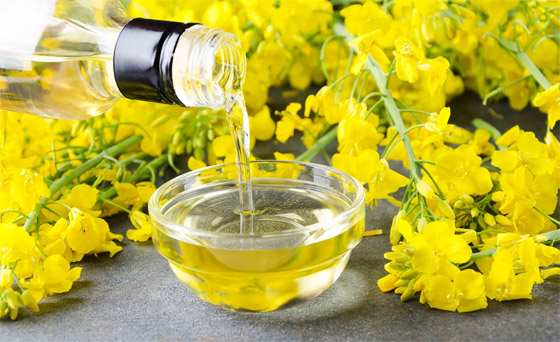 الإجابة ليست كما تتوقع.. ما أفضل زيوت الطبخ من الناحية الصحية؟ صورة رقم 4