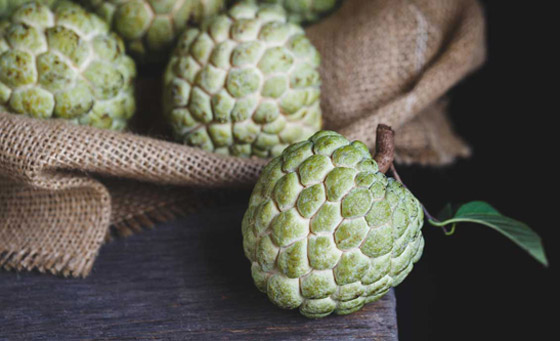 مضادة للسرطان وممتازة لصحة الشعر والجسم.. إليكم فوائد فاكهة القشطة صورة رقم 2