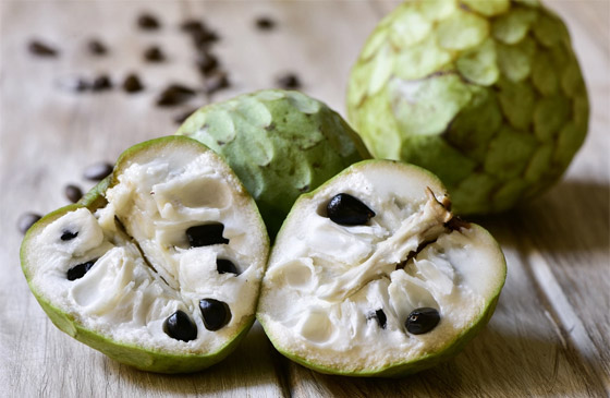 مضادة للسرطان وممتازة لصحة الشعر والجسم.. إليكم فوائد فاكهة القشطة صورة رقم 1