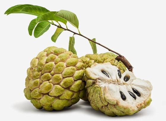 مضادة للسرطان وممتازة لصحة الشعر والجسم.. إليكم فوائد فاكهة القشطة صورة رقم 7