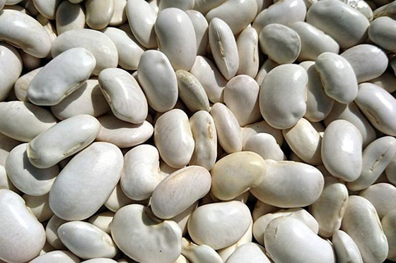 بديلٌ رائعٌ للحوم.. ما هي فوائد الفاصولياء؟ صورة رقم 1