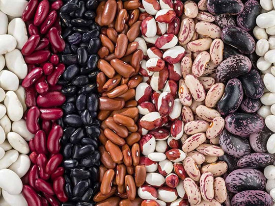 بديلٌ رائعٌ للحوم.. ما هي فوائد الفاصولياء؟ صورة رقم 8