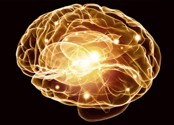 تعرفوا إلى 7 تعرفوا إلى 7