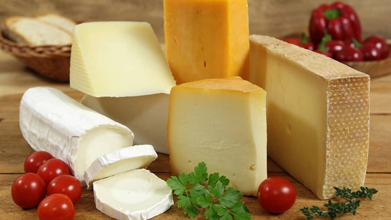 الجبن المتعفن.. 