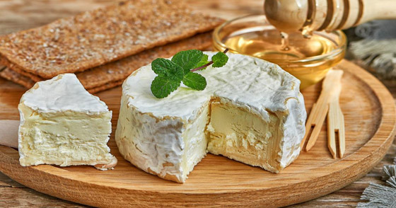 الجبن المتعفن.. 