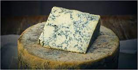 الجبن المتعفن.. 