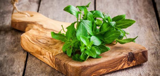 فوائد الحبق للجسم.. وأهم المخاطر المحتملة صورة رقم 4