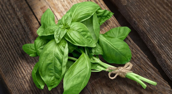 فوائد الحبق للجسم.. وأهم المخاطر المحتملة صورة رقم 7