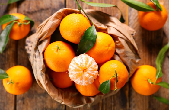 اخترعها راهب فرنسي في الجزائر.. فوائد فاكهة 