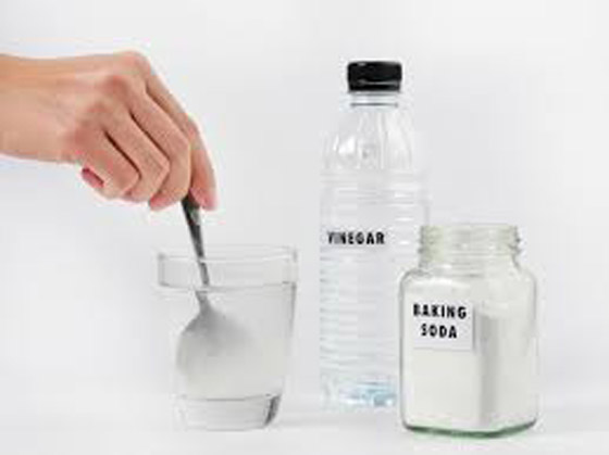 8 مواد طبيعية تخلصك من بق الفراش صورة رقم 1