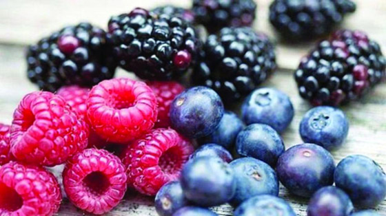 6 أنواع فواكه تعزز المناعة صورة رقم 3 6 أنواع فواكه تعزز المناعة صورة رقم 3