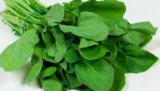 الجرجير.. فوائد جمة وخطأ يحوله إلى مسبب للسرطان صورة رقم 2