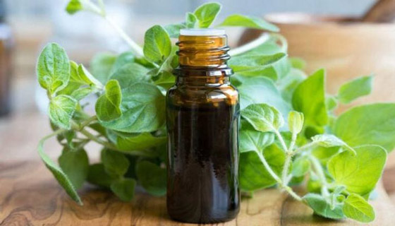 الجرجير.. فوائد جمة وخطأ يحوله إلى مسبب للسرطان صورة رقم 3