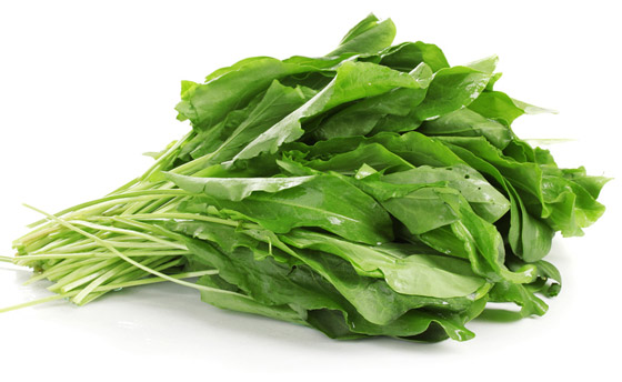 الجرجير.. فوائد جمة وخطأ يحوله إلى مسبب للسرطان صورة رقم 5