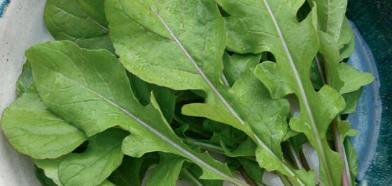 الجرجير.. فوائد جمة وخطأ يحوله إلى مسبب للسرطان صورة رقم 6