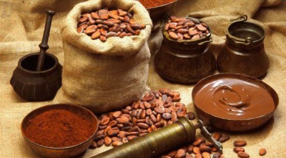 أطعمة الفلافونول تبطئ تدهور الذاكرة صورة رقم 5