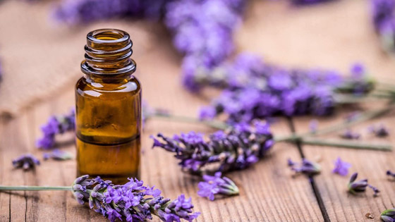 ما الفرق بين العطور الاصطناعية والطبيعية؟ صورة رقم 3