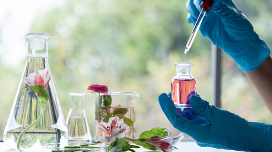 ما الفرق بين العطور الاصطناعية والطبيعية؟ صورة رقم 8