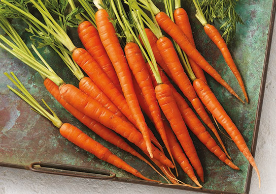 لن تشعر بالبرد.. 6 أطعمة تزيد من درجة حرارة جسمك هذا الشتاء صورة رقم 6 لن تشعر بالبرد.. 6 أطعمة تزيد من درجة حرارة جسمك هذا الشتاء صورة رقم 6