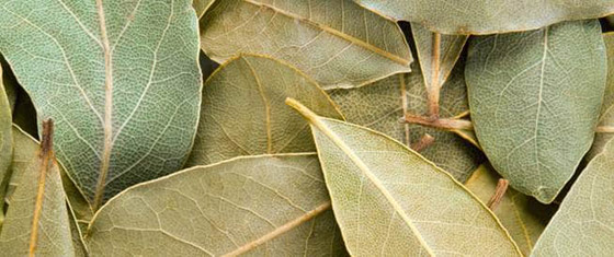 شاي ورق الغار: يحسن الهضم، وينظم سكر الدم صورة رقم 5