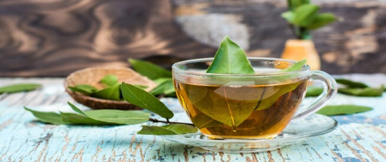 شاي ورق الغار: يحسن الهضم، وينظم سكر الدم صورة رقم 6