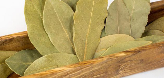 شاي ورق الغار: يحسن الهضم، وينظم سكر الدم صورة رقم 8