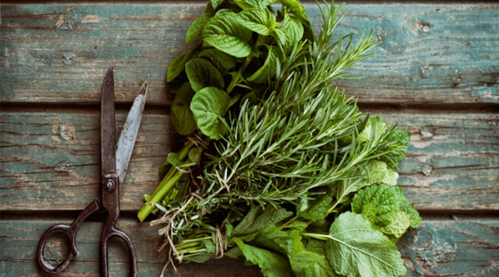 زيوت أساسية تخفف آلام «الصداع النصفي» صورة رقم 7