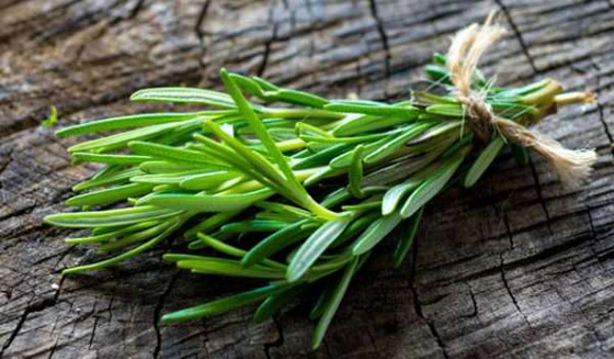 زيوت أساسية تخفف آلام «الصداع النصفي» صورة رقم 8