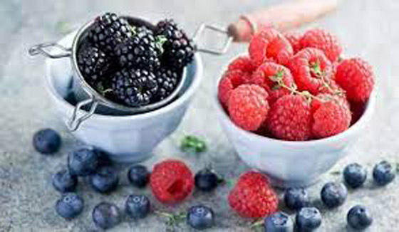 تحذير من تناول البروكلي والتوت.. يحتضن فيروس كورونا لمدة طويلة صورة رقم 2