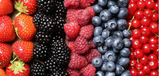 تحذير من تناول البروكلي والتوت.. يحتضن فيروس كورونا لمدة طويلة صورة رقم 6