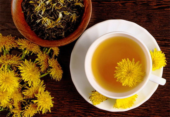 يعالج مشاكل عديدة.. إليكم 7 فوائد صحية مدهشة لشاي الهندباء العشبي صورة رقم 3 يعالج مشاكل عديدة.. إليكم 7 فوائد صحية مدهشة لشاي الهندباء العشبي صورة رقم 3