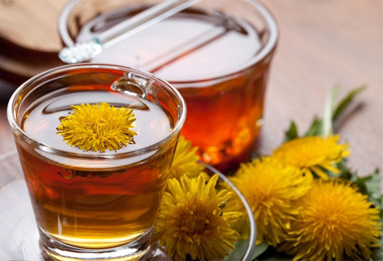 يعالج مشاكل عديدة.. إليكم 7 فوائد صحية مدهشة لشاي الهندباء العشبي صورة رقم 4 يعالج مشاكل عديدة.. إليكم 7 فوائد صحية مدهشة لشاي الهندباء العشبي صورة رقم 4