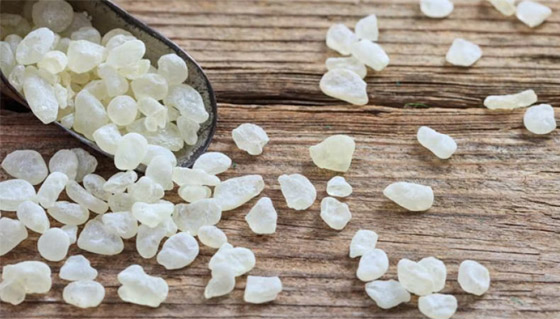 تعزز صحة الفم وتعالج عسر الهضم.. 6 فوائد صحية لتناول المستكة صورة رقم 4 تعزز صحة الفم وتعالج عسر الهضم.. 6 فوائد صحية لتناول المستكة صورة رقم 4