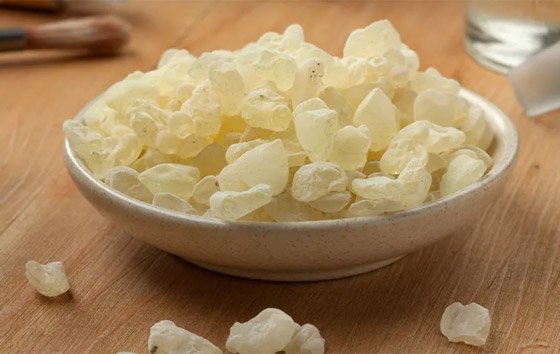 تعزز صحة الفم وتعالج عسر الهضم.. 6 فوائد صحية لتناول المستكة صورة رقم 8 تعزز صحة الفم وتعالج عسر الهضم.. 6 فوائد صحية لتناول المستكة صورة رقم 8