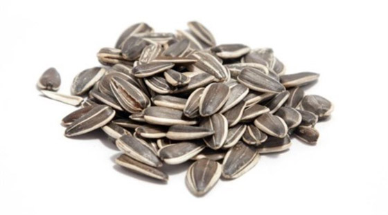 لهذه الأسباب بذور عباد الشمس وجبة خفيفة رائعة صورة رقم 3